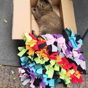 Snuffelmat hond kat