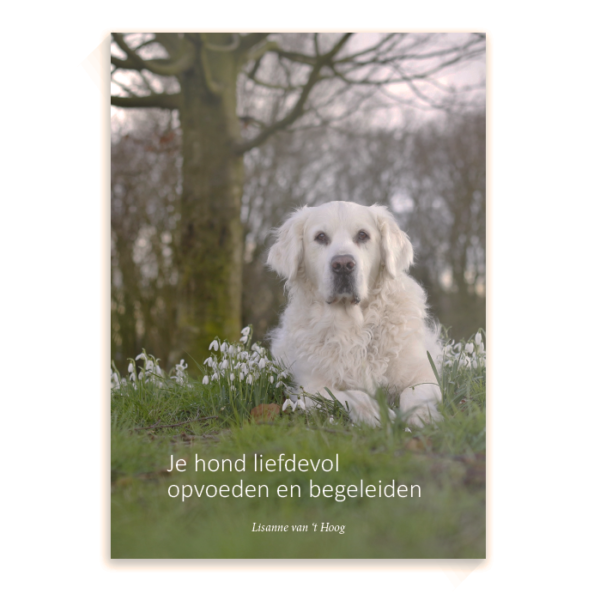 Beste informatie boek hondenboek opvoeding puppy hond opvoeden handleiding liefdevol begeleiden opvoedboek Turid Rugaas