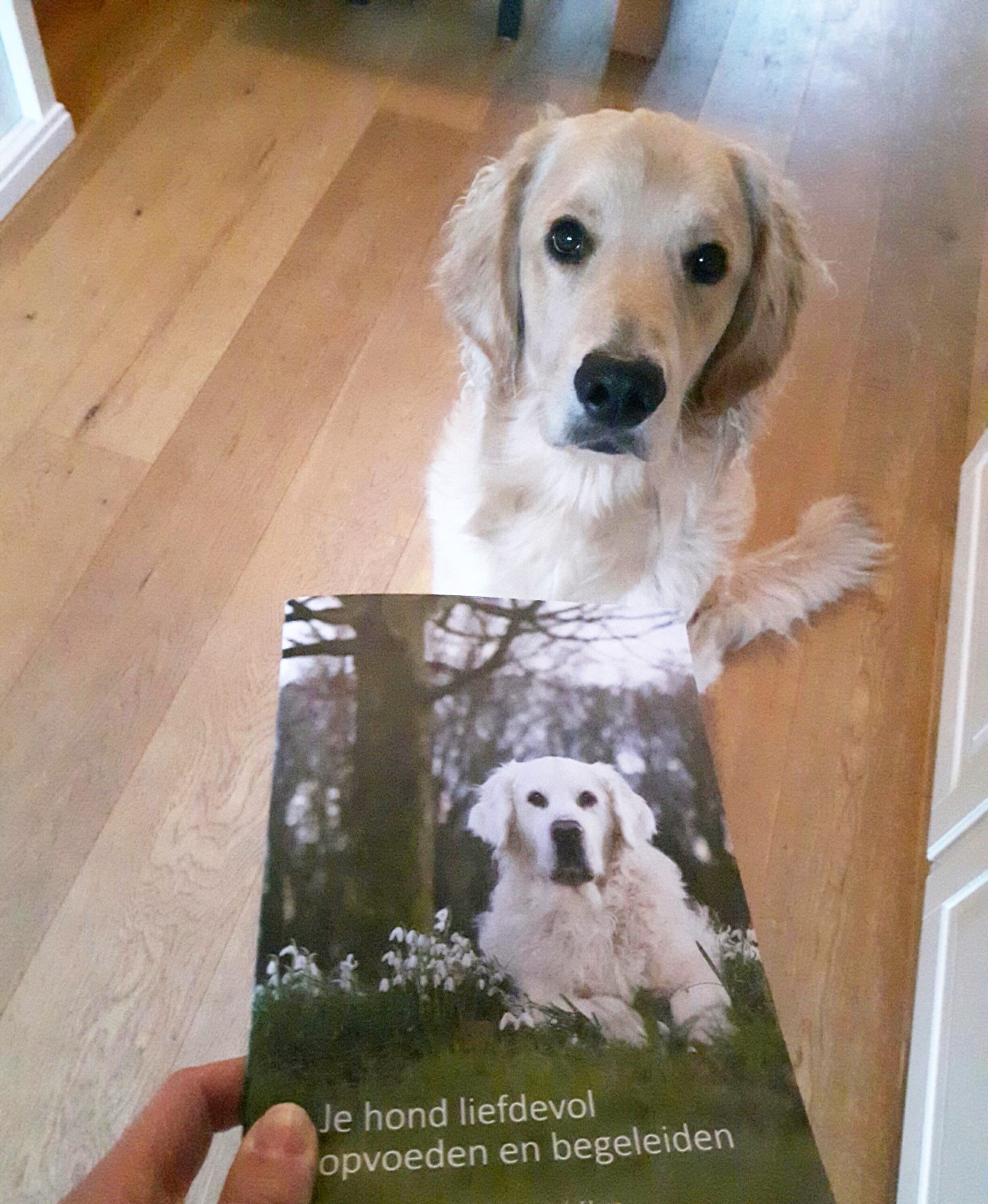 Beste informatie boek opvoeding honden opvoedboek puppy handleiding puppypakket liefdevol opvoeden en begeleiden turid rugaas