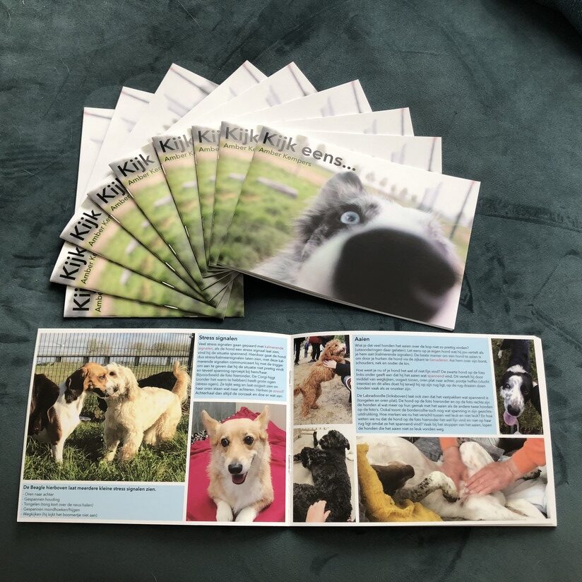 Boek kijk eens van Amber Kempers lichaamstaal observatie hond hondenlichaamstaal turid rugaas