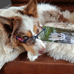 Hondenboek hond opvoeden liefdevol je hond trainen puppyboek kalmerende signalen