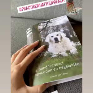 Je hond opvoeden boek