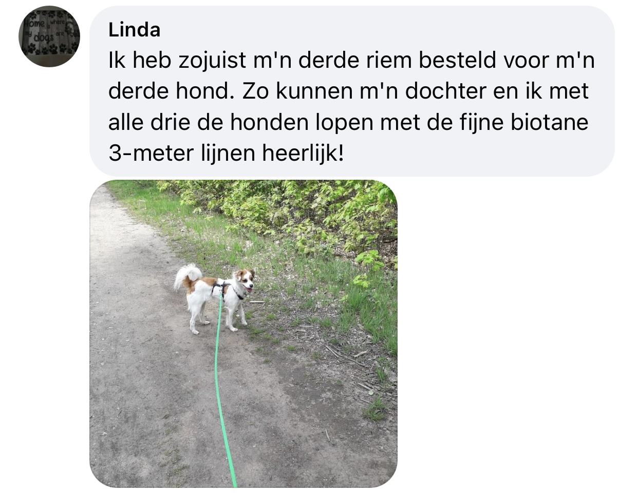 3 honden uitlaten aan lange lijn biothane 3 meter