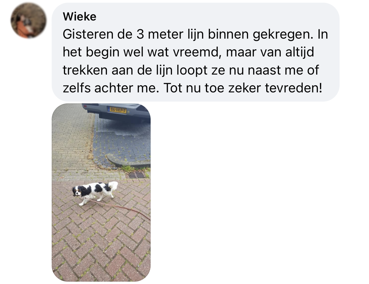 3 meter lijn hond leiband hond trekt niet