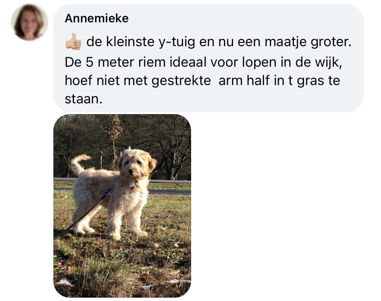 Biothane lijn met tuigje labradoodle puppy