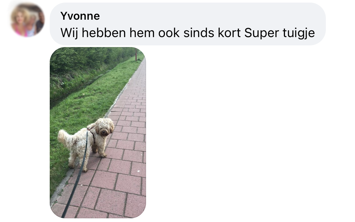 Ervaring Y-tuigje hond super tuigje