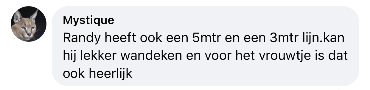 Ervaring biothane lange lijn hond 3 en 5 meter