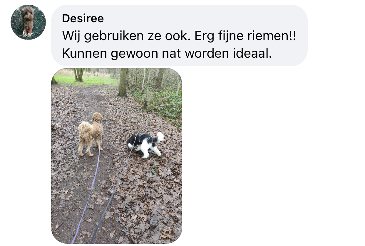 Hondenriem die nat kan worden regen zwemmen leiband lijn riem hond