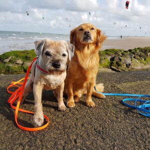 Lange 3 meter 3m biothane hondenriem riem leiband lijn hond uitlaten speurlijn speuren goedkoop online bestellen blauw oranje