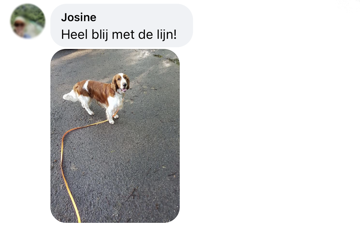 Lange lijn hond ervaring