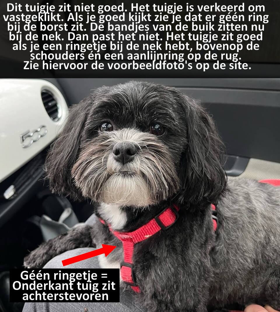 Ongevoerd verkeerd versteld