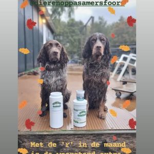 R in de maand hond verkouden suplementen weerstand bio-ron