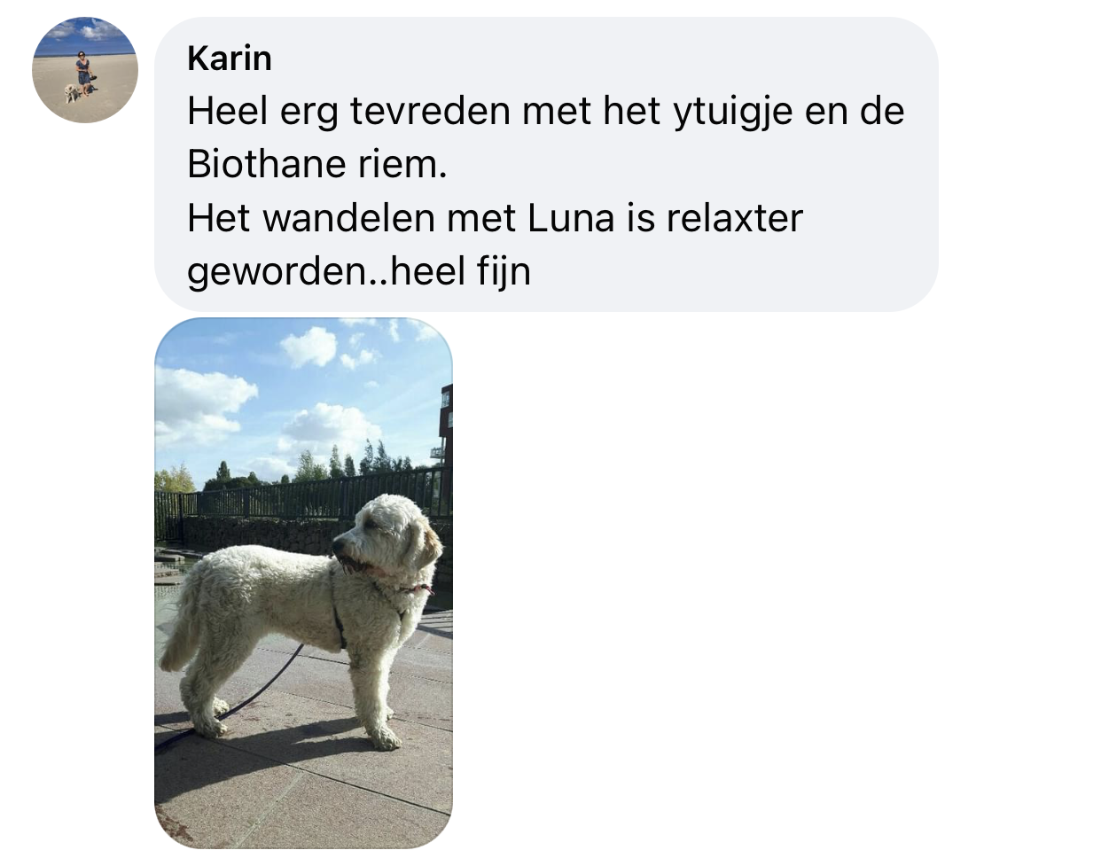 Rustiger lopen niet trekken y-tuig hond