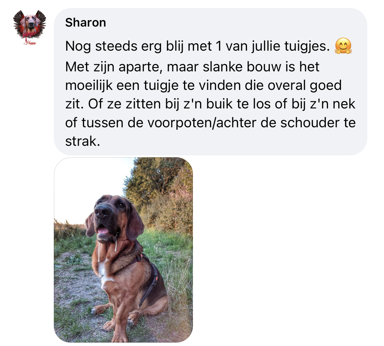 Y-tuig grote hond lastige maat slanke hond brede borstkas