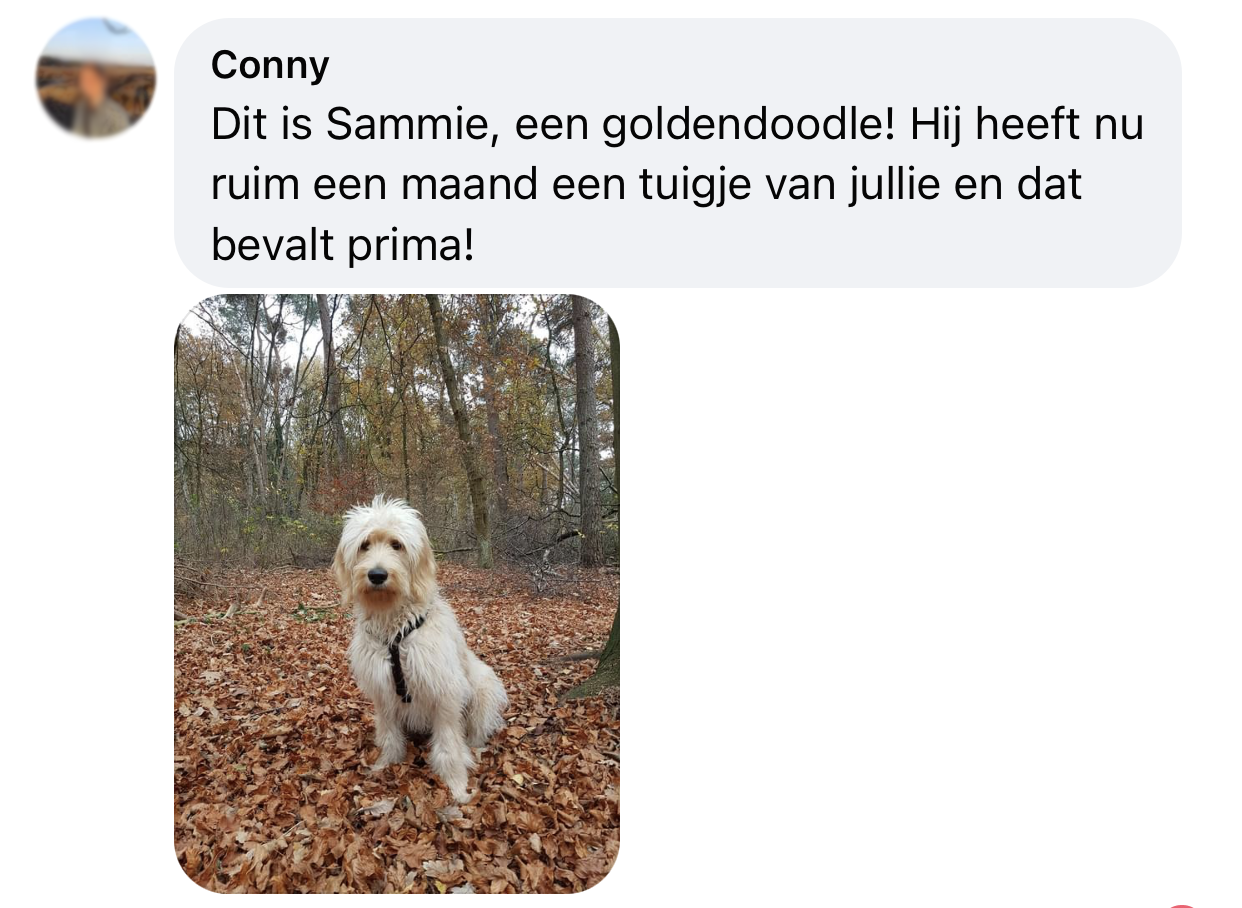 Y-tuig halssluitingen 4 sluitingen niet over hoofd hond ervaring goldendoodle