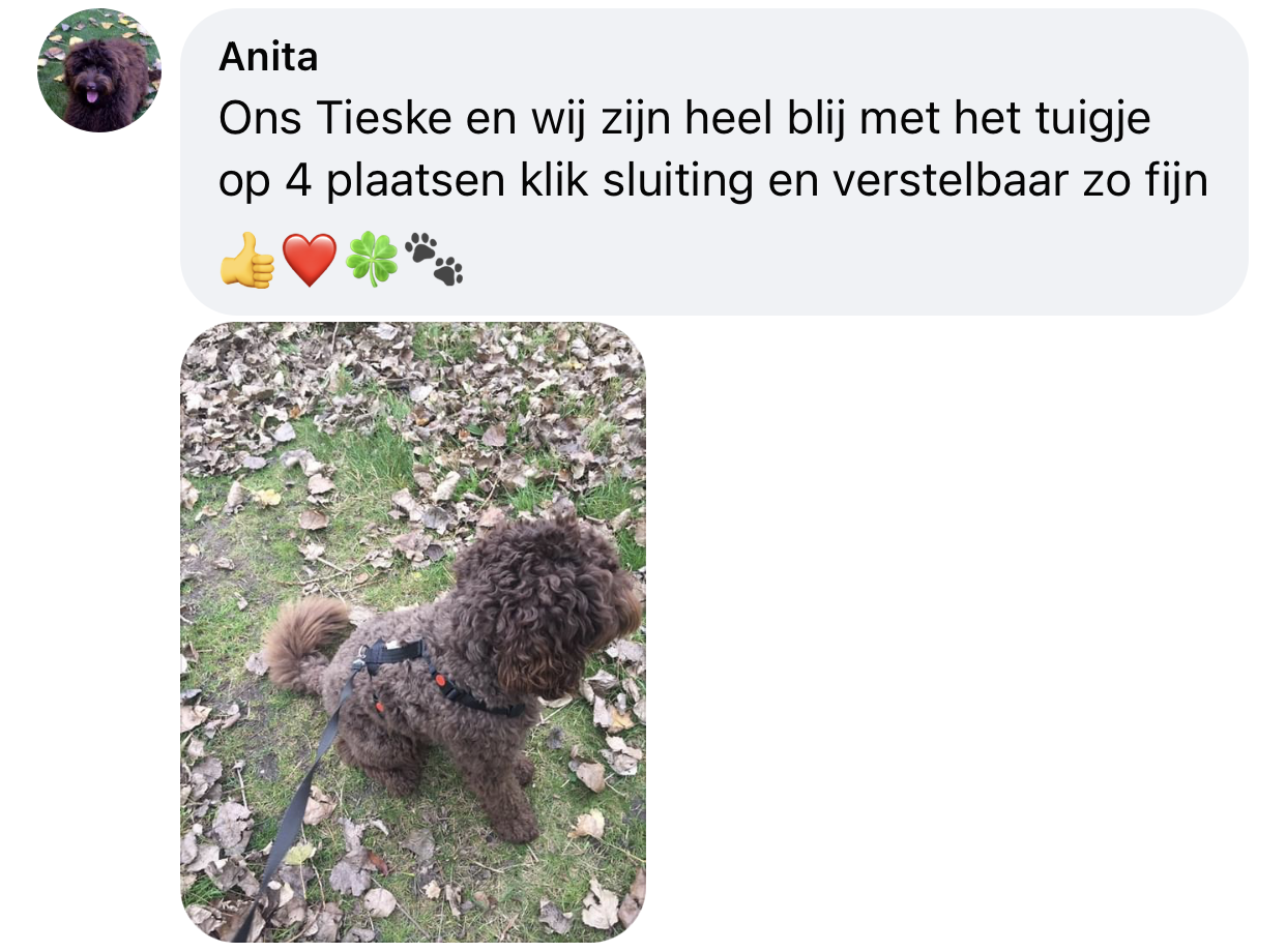 Y-tuig halssluitingen 4 sluitingen niet over hoofd hond ervaring labradoodle