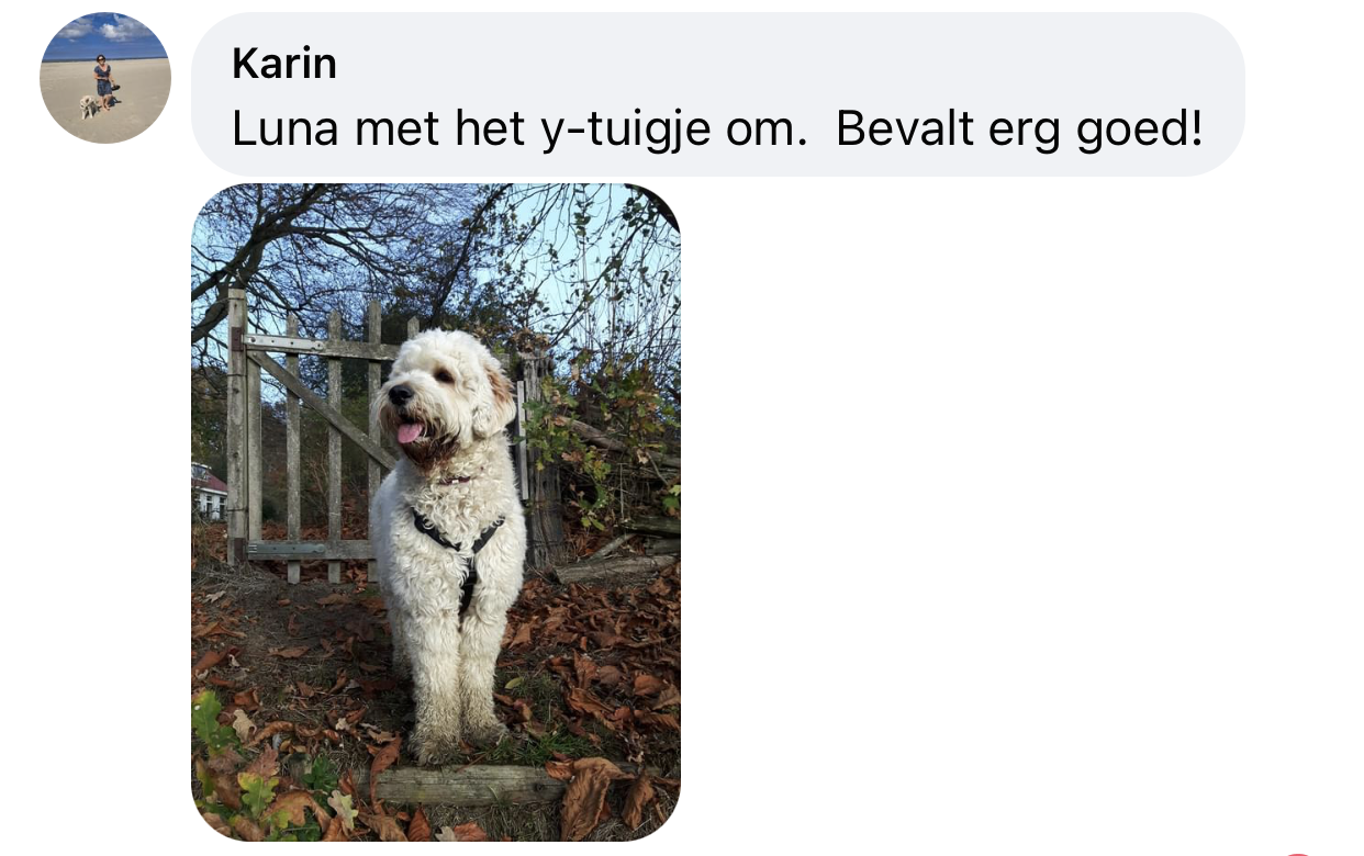 Y-tuig halssluitingen 4 sluitingen niet over hoofd hond ervaring uitlaten