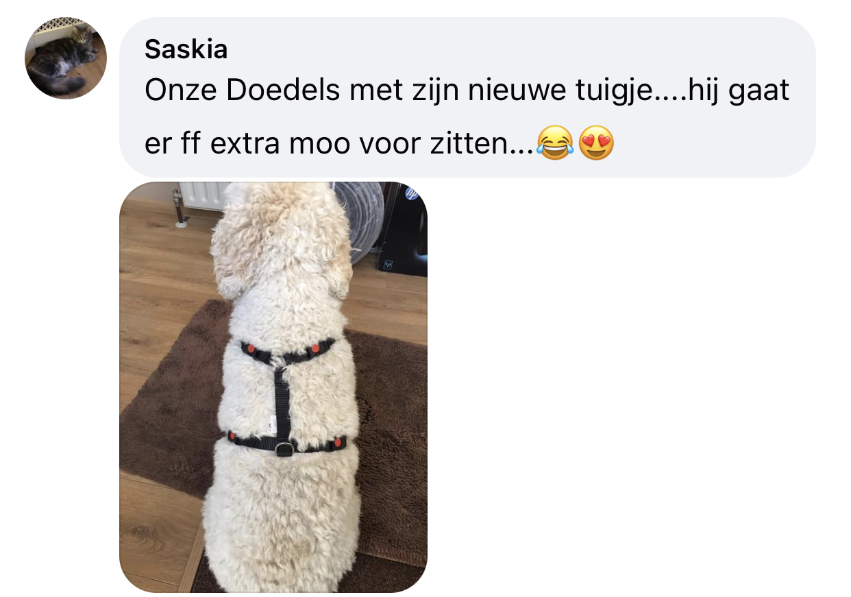 Y-tuig halssluitingen 4 sluitingen niet over hoofd hond ervaring