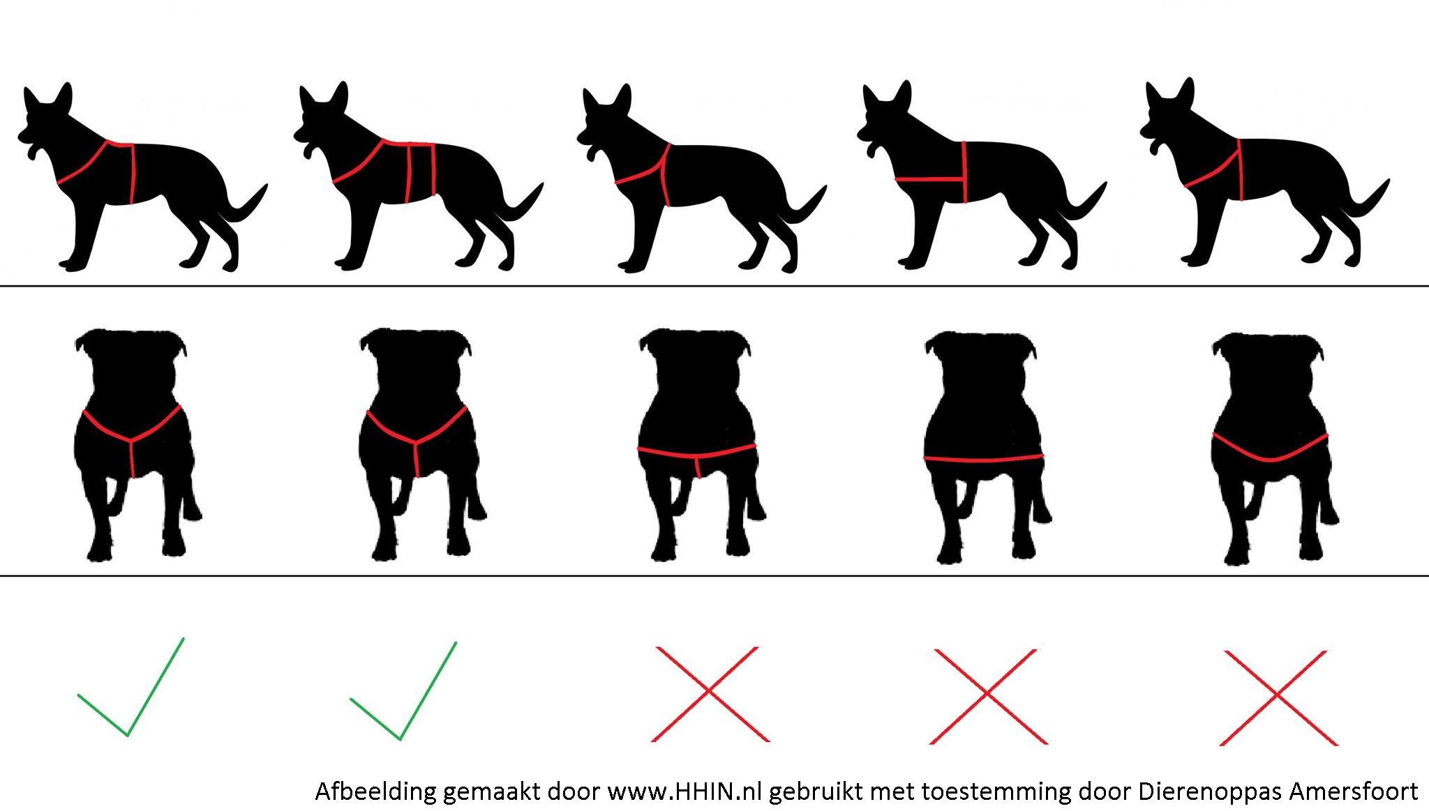 Nieuw! Verstelbaar hondentuig Y-vorm Y-tuig • Tuigje hond puppy