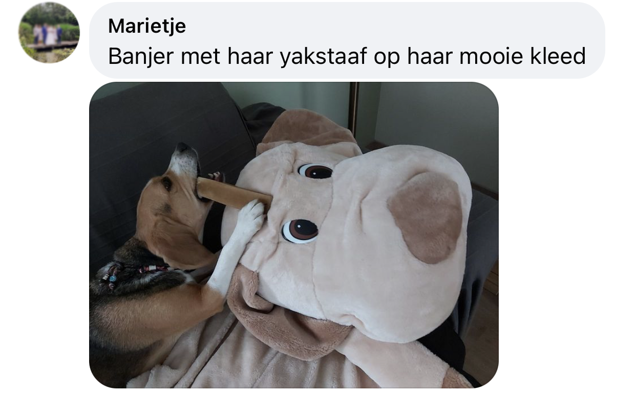 Knuffelkussen hond ervaring