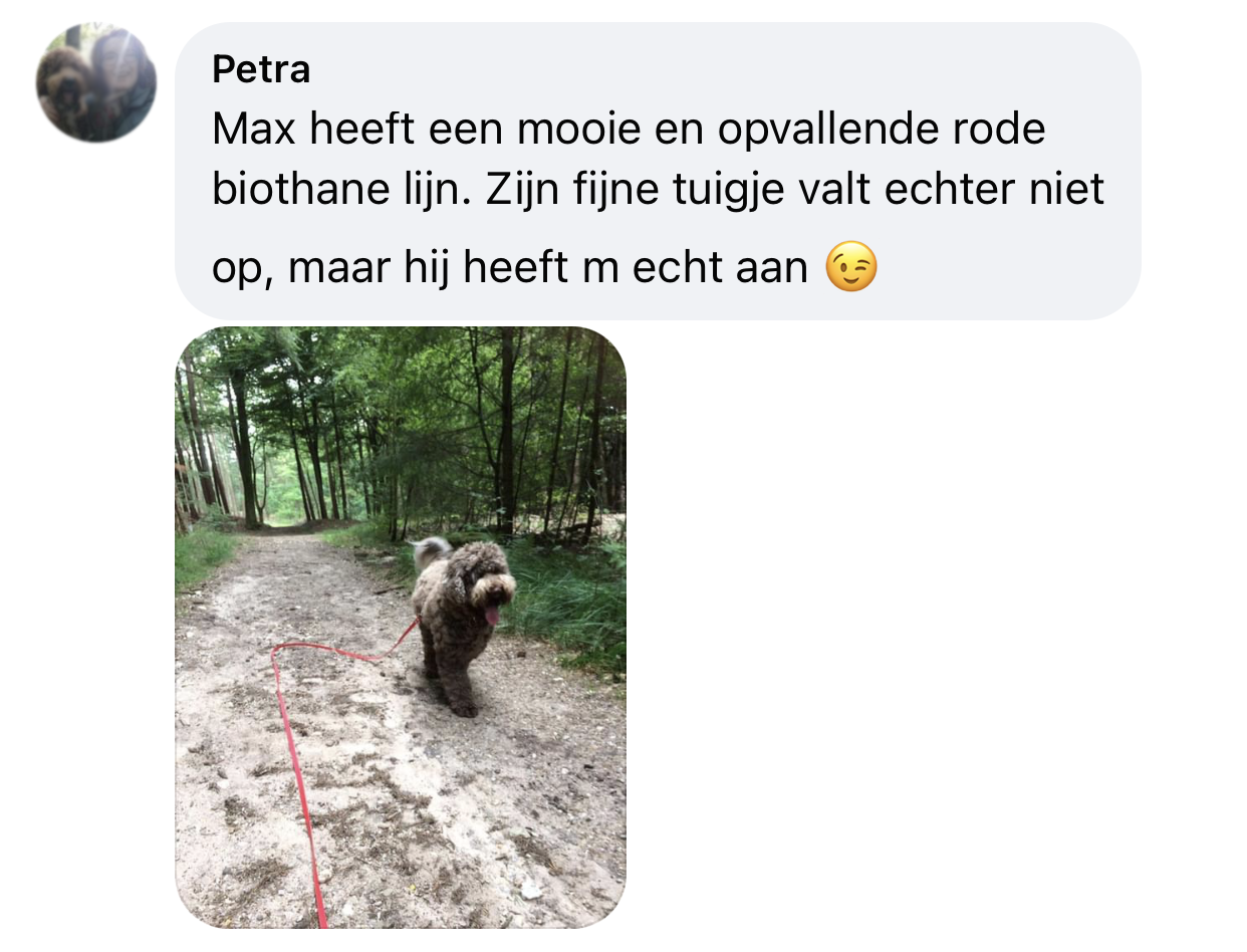 Tuigje en lange biothane lijn boswandeling hond leiband riem