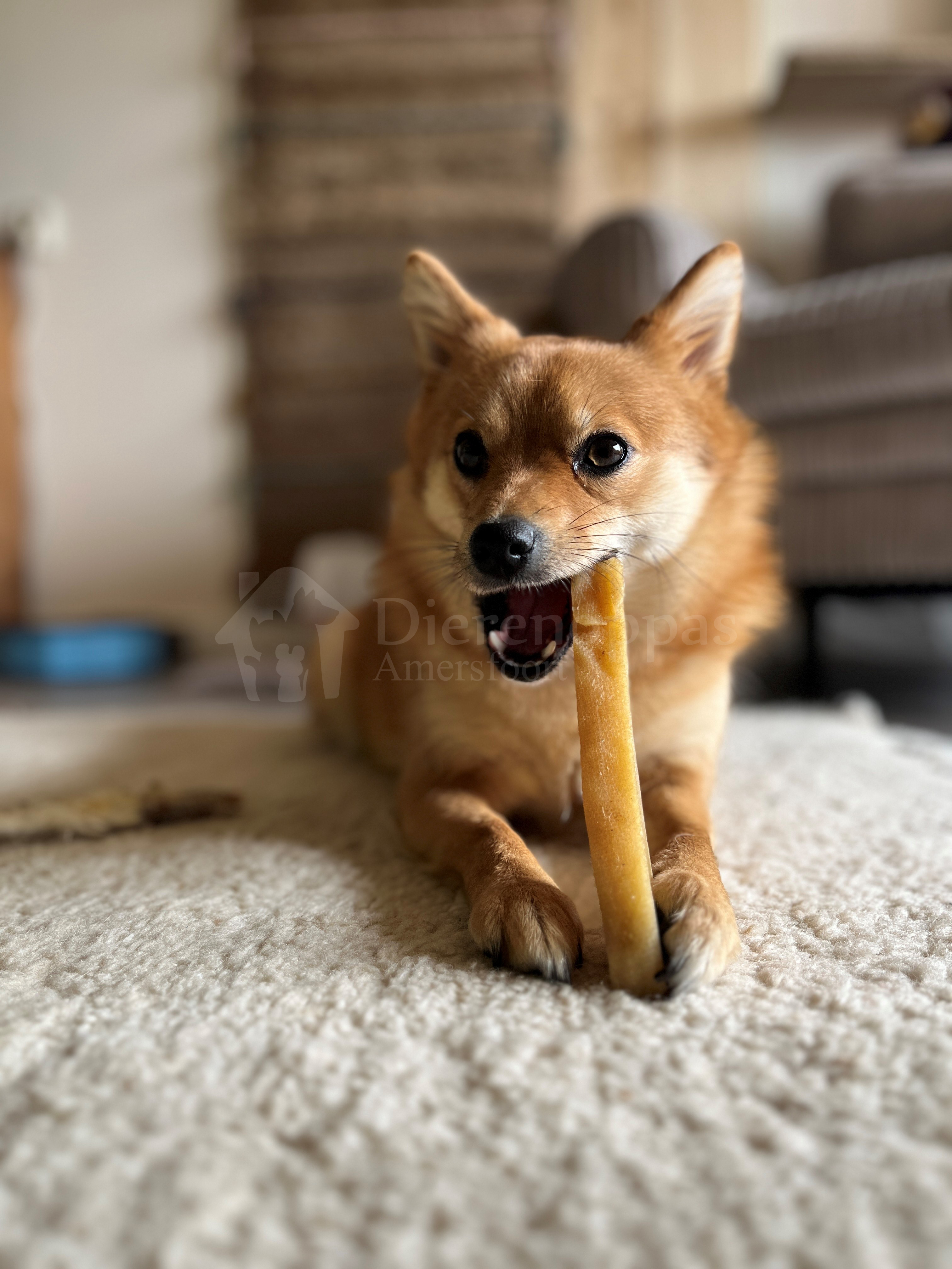 Yak kaas Yakkaas Yakka kauwstaaf Yakstaaf hond