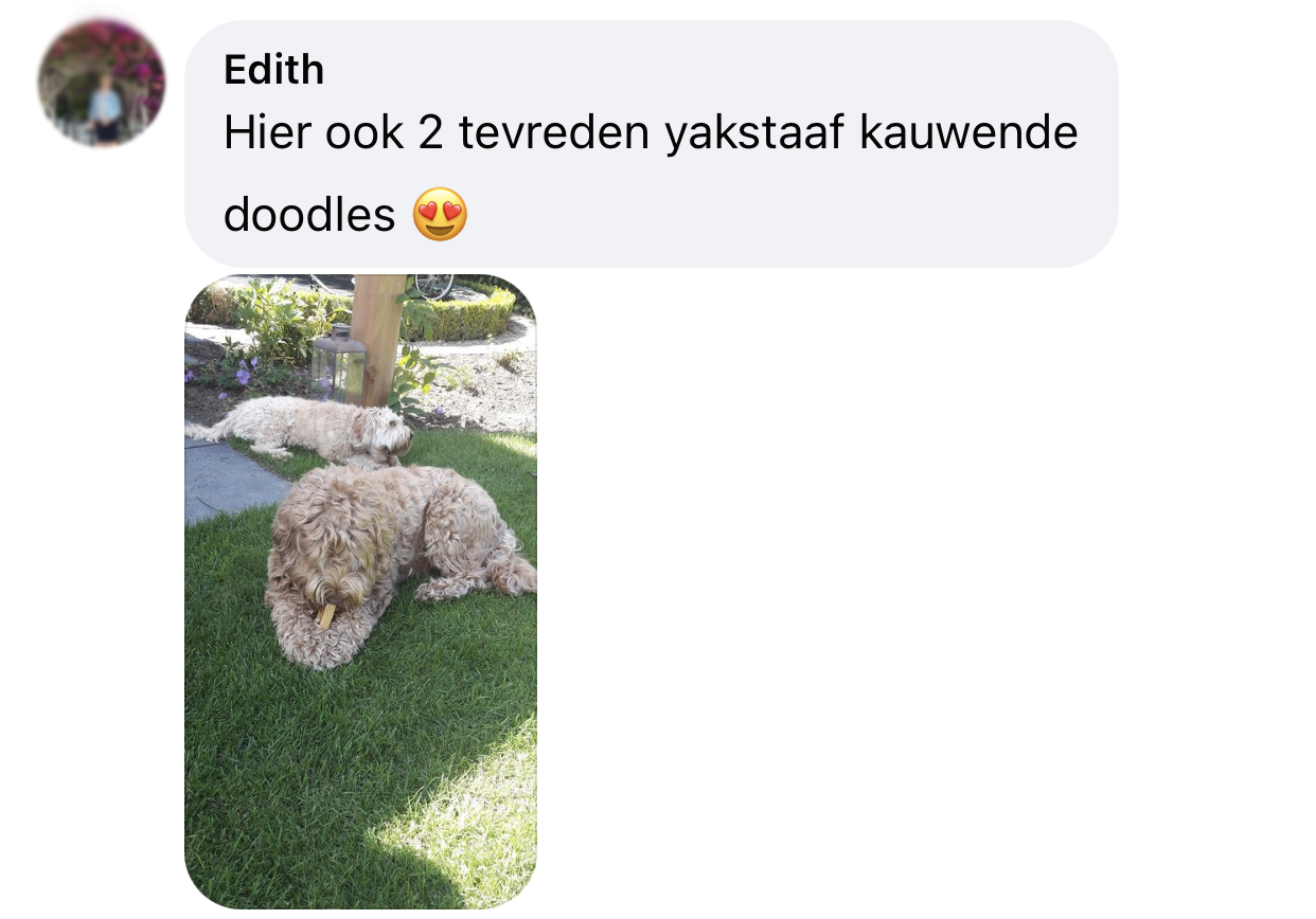 Yakbot yak kaas yakstaaf hond ervaring Labradoodles