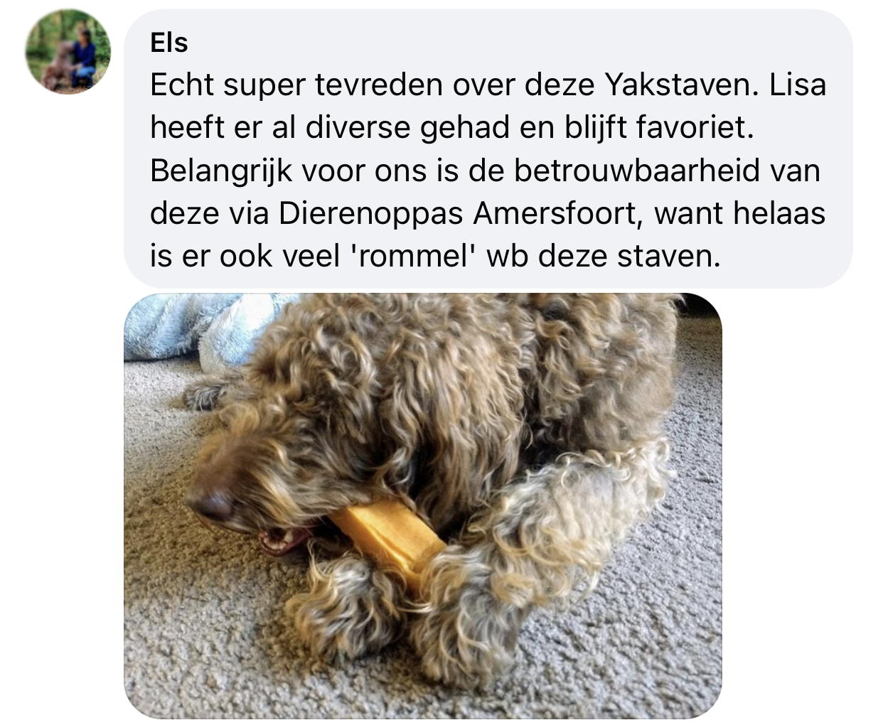 Yakbot yak kaas yakstaaf hond ervaring betrouwbaar churpi