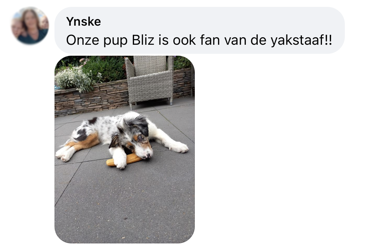 Yakbot yak kaas yakstaaf hond ervaring border collie