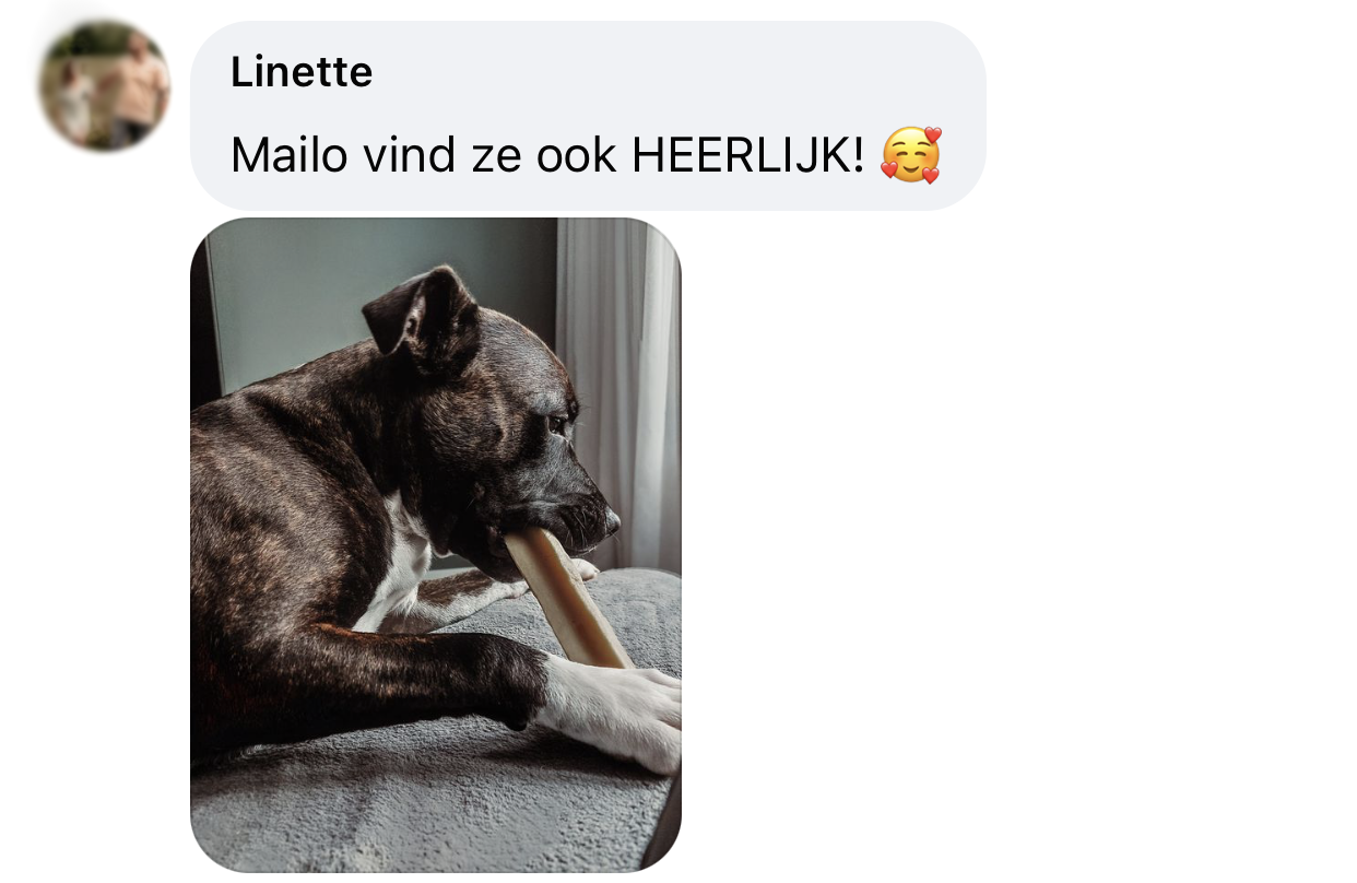 Yakbot yak kaas yakstaaf hond ervaring boxer