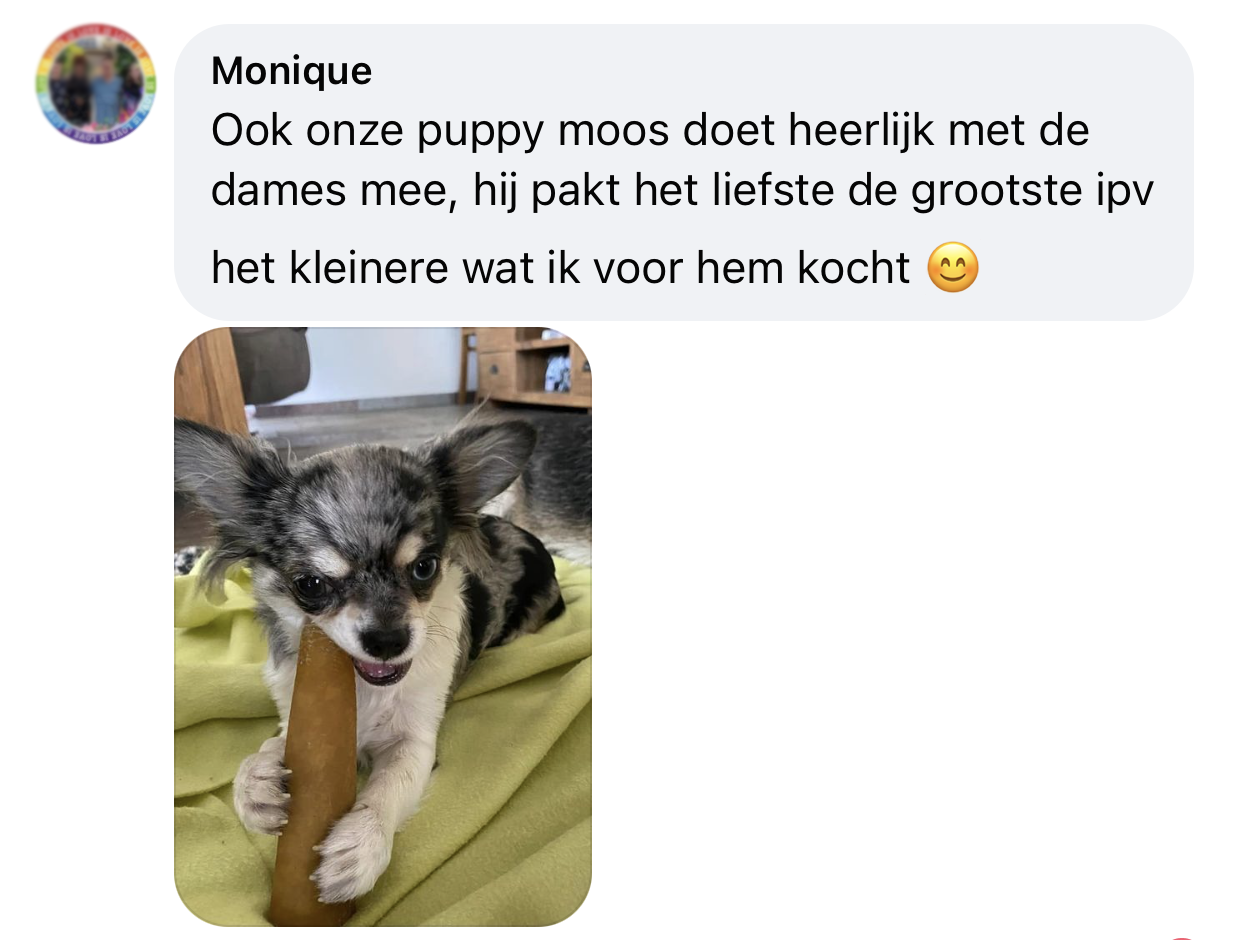 Yakbot yak kaas yakstaaf hond ervaring chihuahua