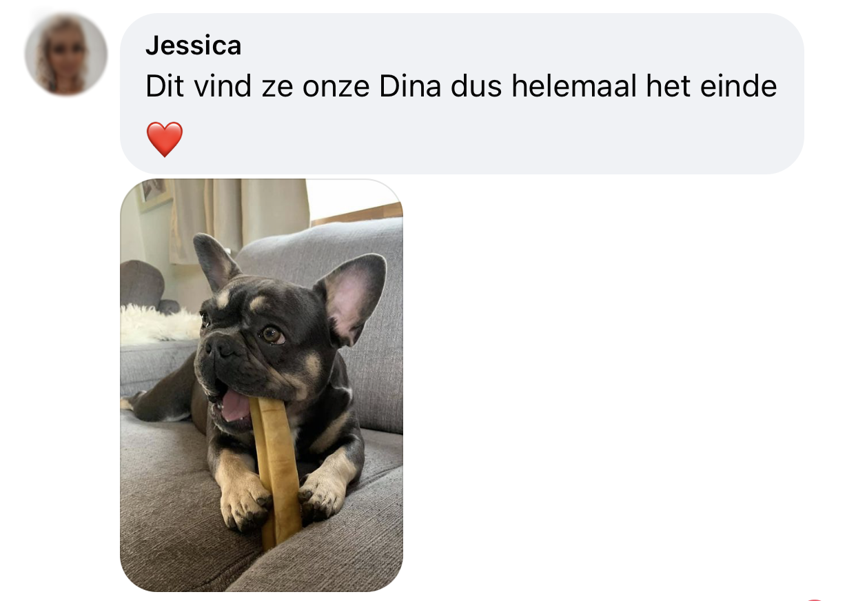 Yakbot yak kaas yakstaaf hond ervaring franse bulldog favoriet