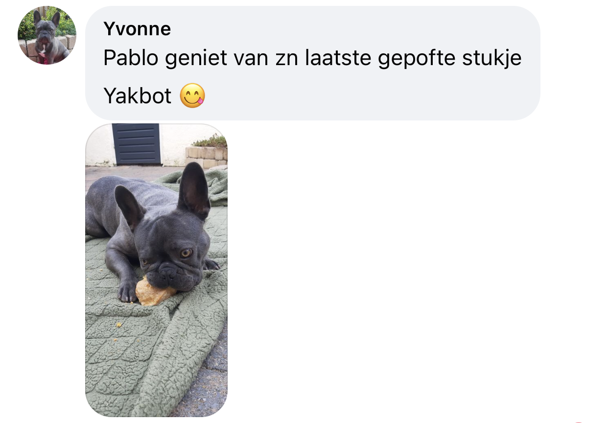 Yakbot yak kaas yakstaaf hond ervaring franse bulldog