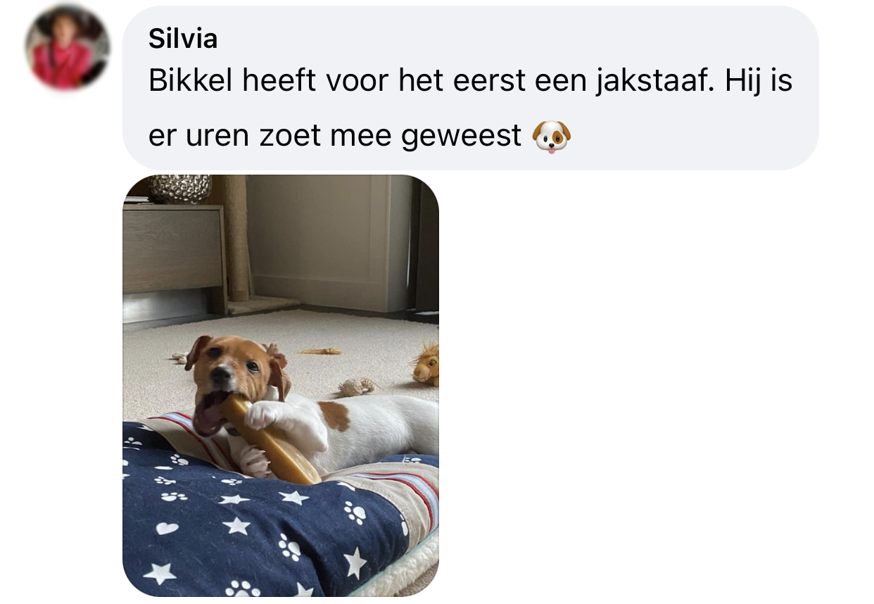 Yakbot yak kaas yakstaaf hond ervaring klein hondje