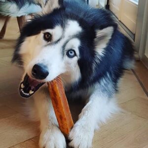 Yakstaven Himalaya staaf staven kauwstaaf Nepalees kauwbot Churpi yakbot van yakkaas yak kaas husky kluif