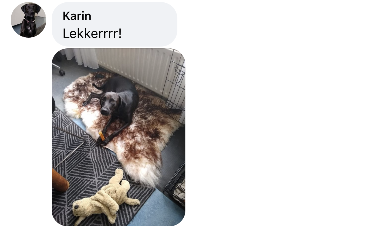 Hond slapen mouflon vacht schapenvacht