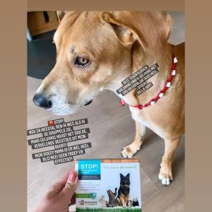 Stop animal bodyguard vlooiendruppels hond