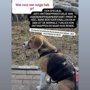 Anti ontsnappingstuig