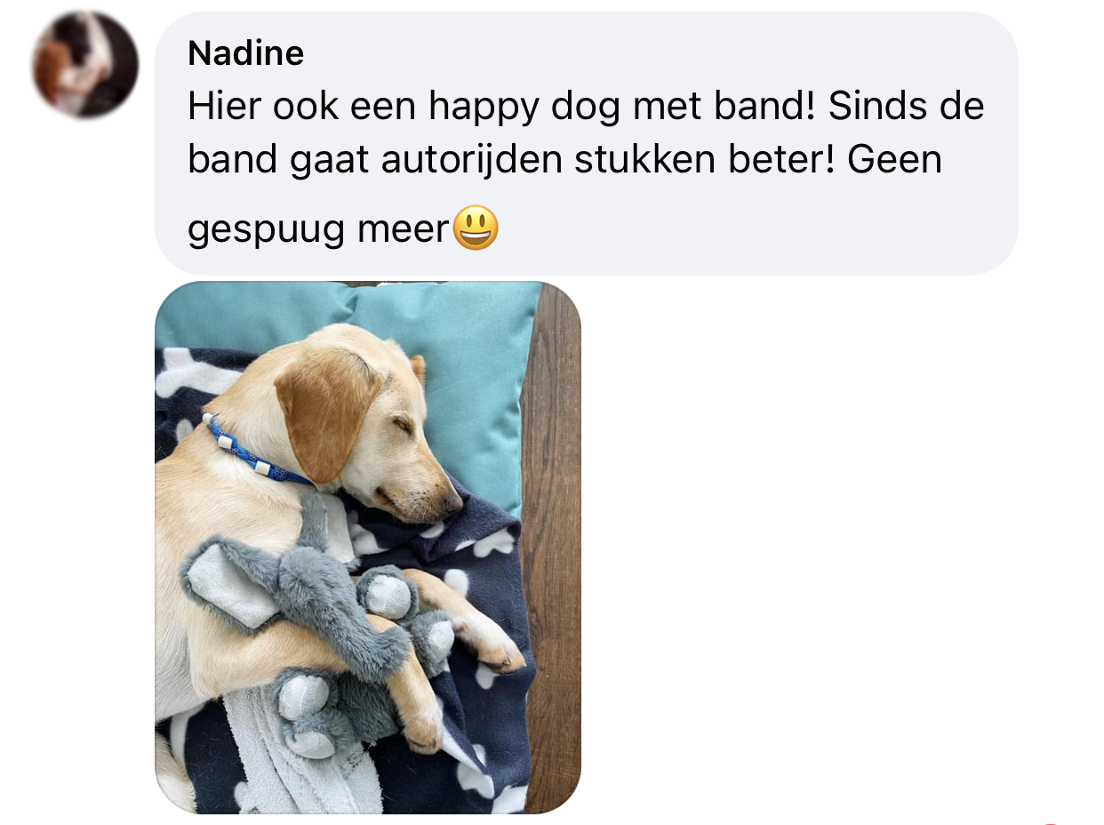 Autorijden hond misselijk keramische tekenband