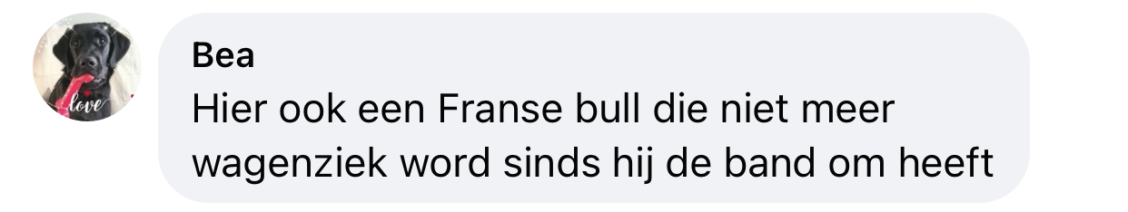 Franse bulldog niet meer wagenziek