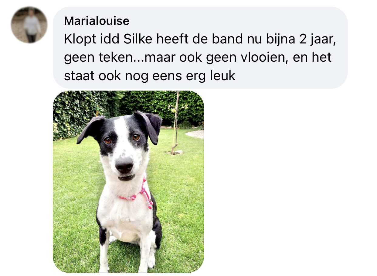 Geen vlooien ervaring review natuurlijke vlooienband