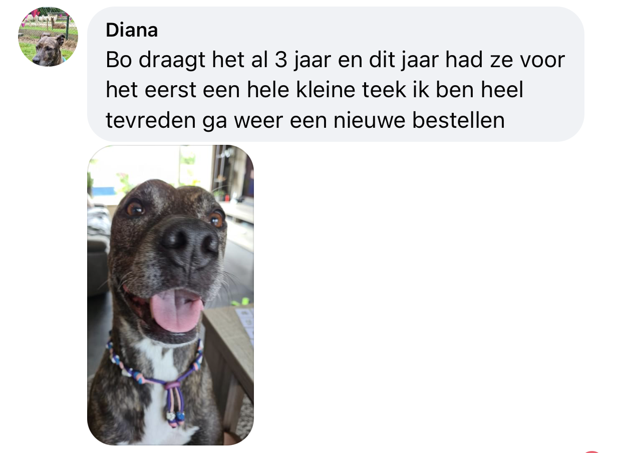 Hond draagt anti-teekband 3 jaar