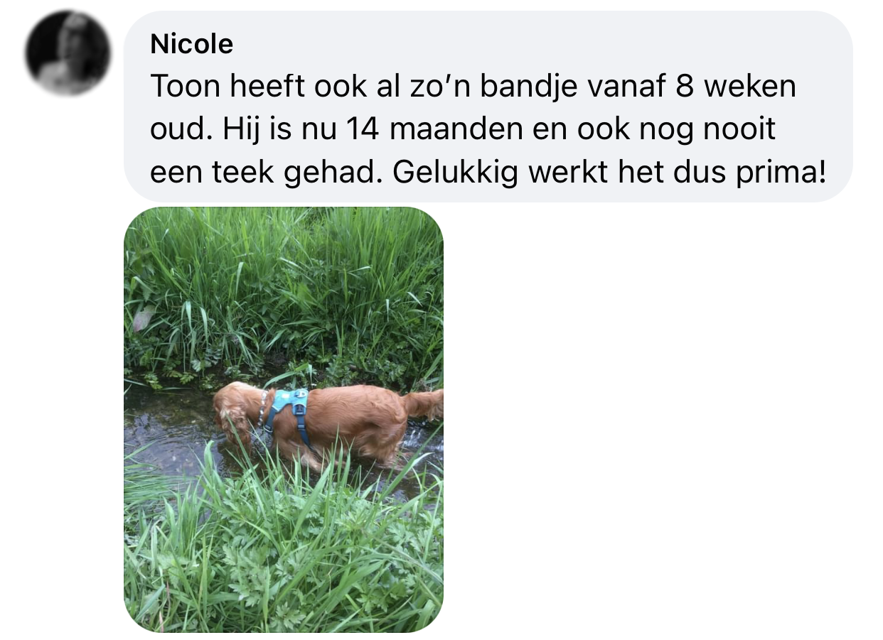 Hond heeft nooit last van teken met kralenband