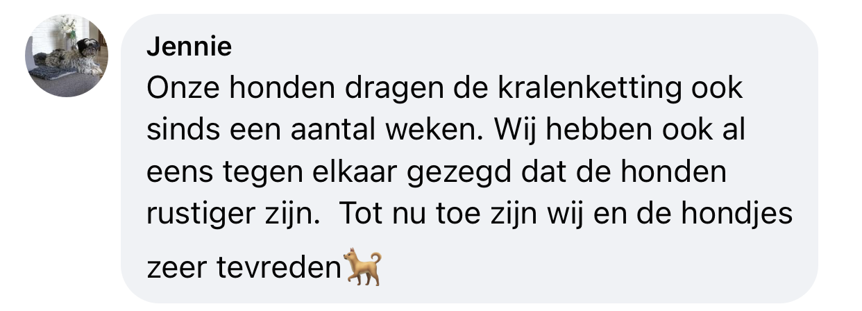 Hond is rustiger door tekenband em keramiek