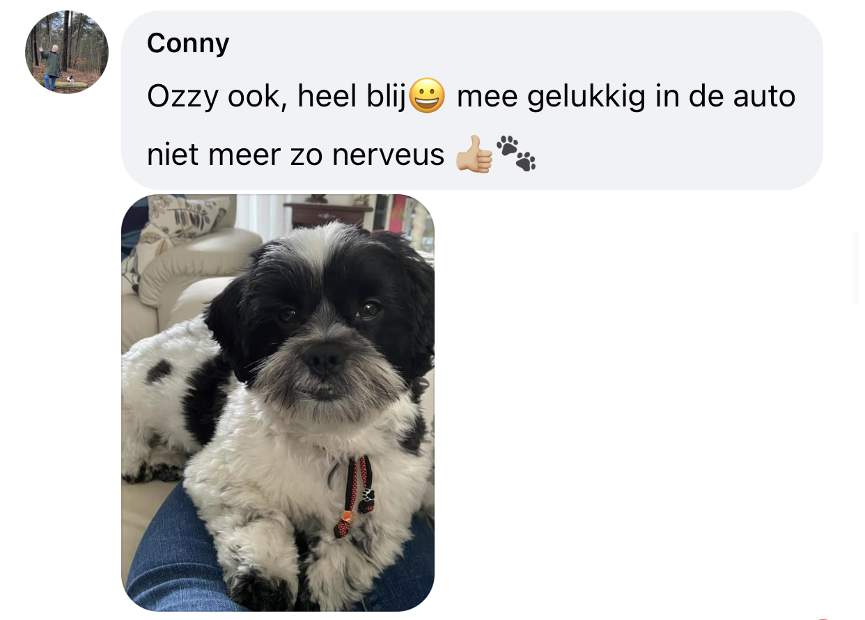 Hond spuugt niet meer in auto door kralenband em keramiek