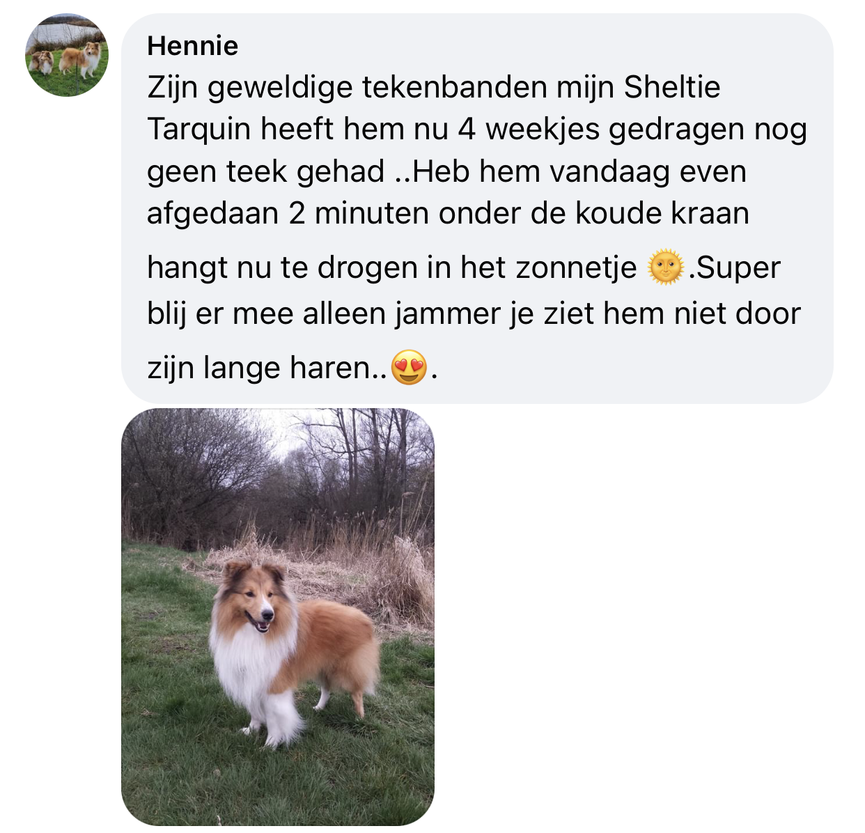 Keramische natuurlijke tekenband ervaring hond lange dikke vacht