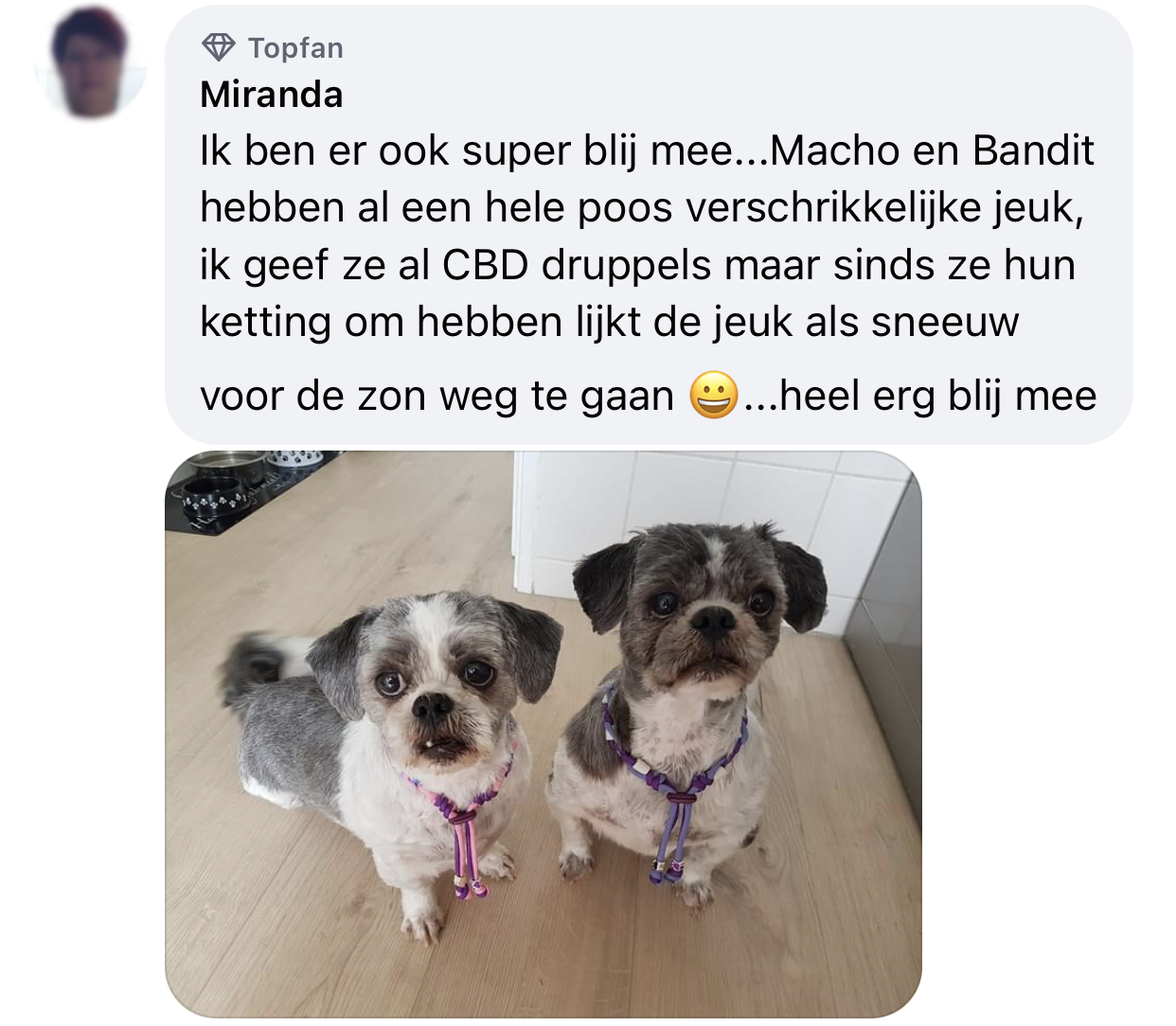 Oplossing tegen jeuk biji hond door natuurlijke kralenband EMX keramiek