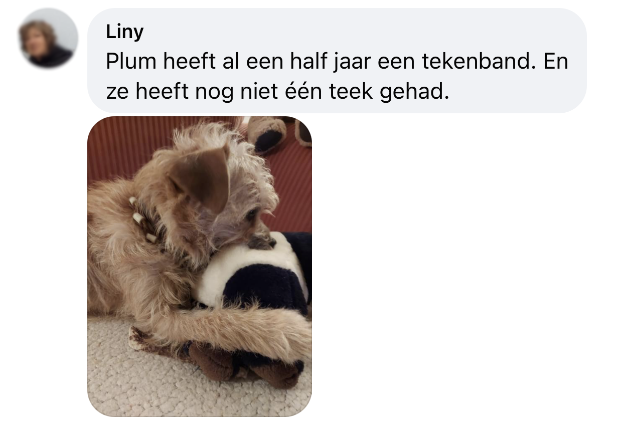 Positieve ervaring anti-tekenband hond