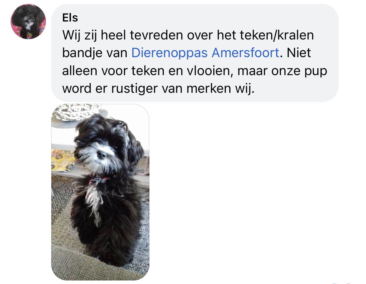 Puppy is rustiger door tekenband em keramiek