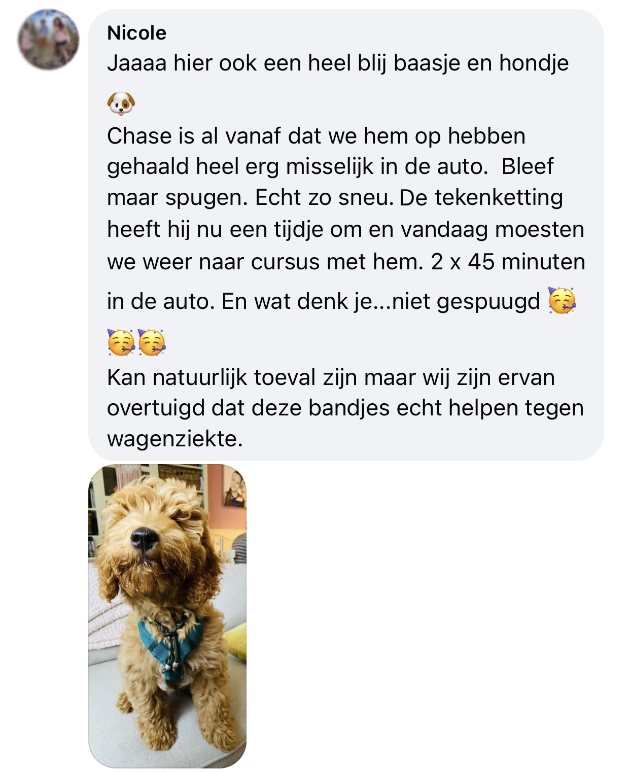 Puppy niet misselijk in auto door tekenband em keramiek